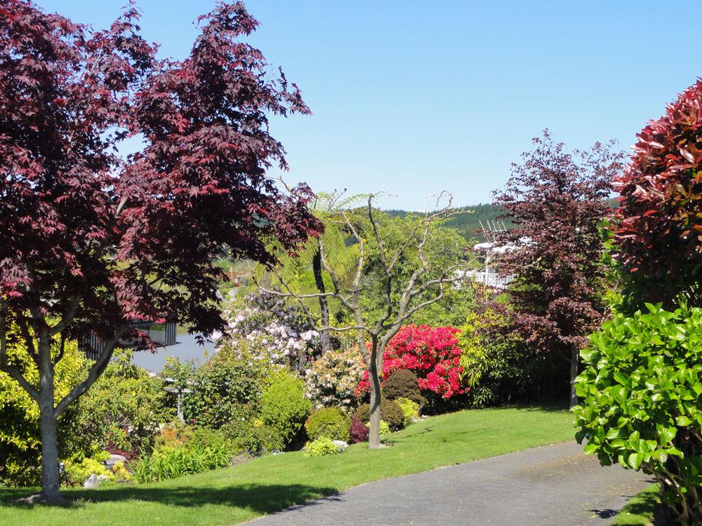 Nova Zelandija Sever (128)