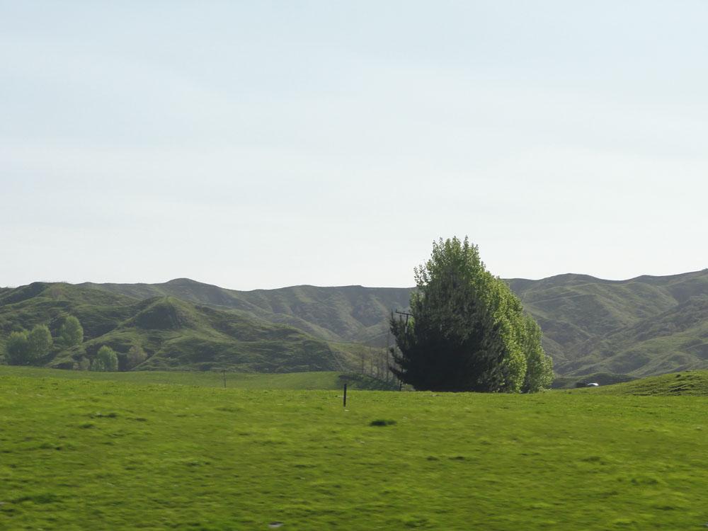 Nova Zelandija Sever (186)