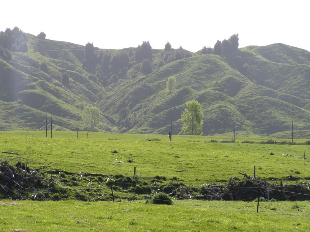 Nova Zelandija Sever (189)