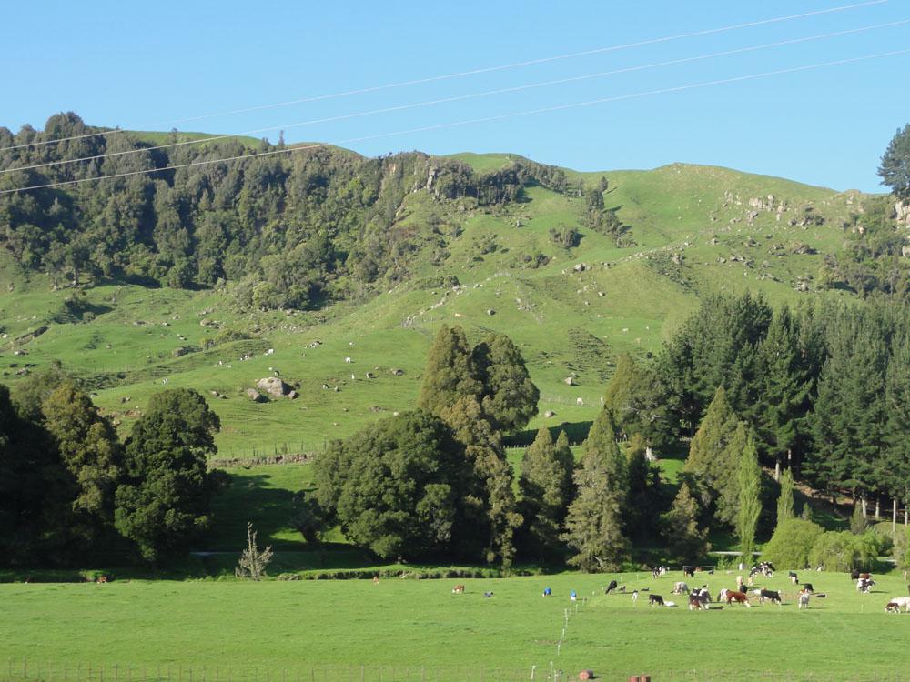 Nova Zelandija Sever (196)