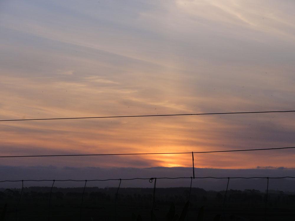 Nova Zelandija Sever (199)