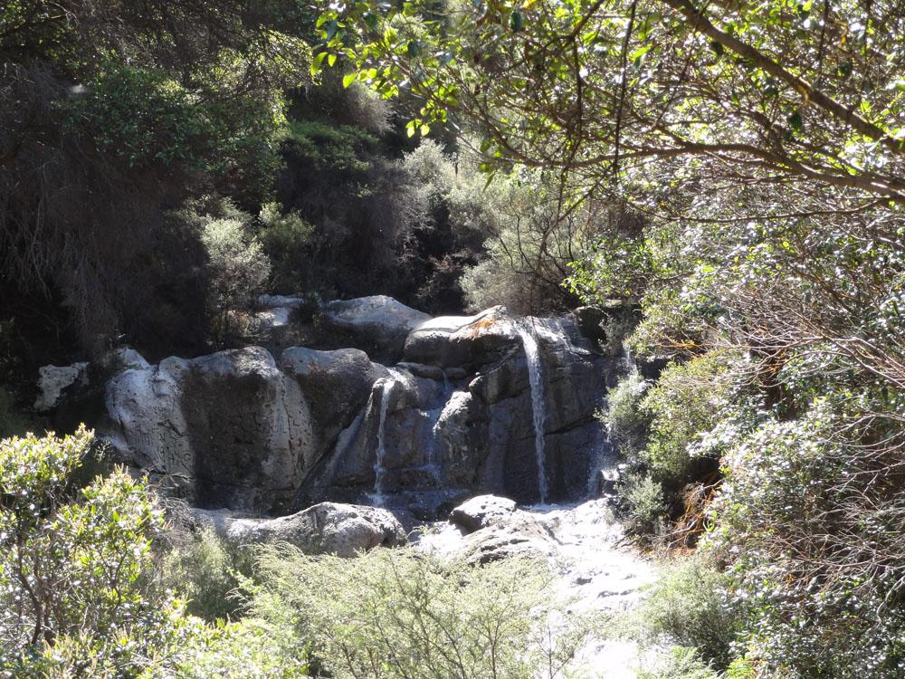 Nova Zelandija Sever (82)