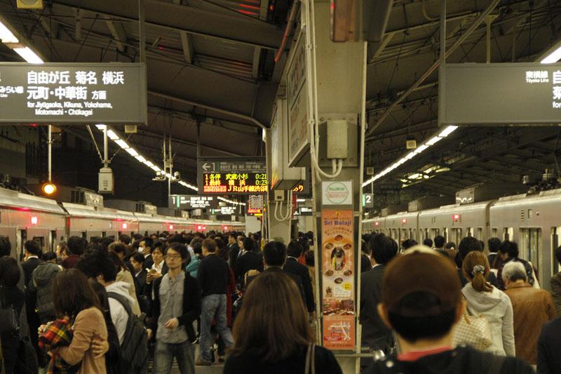 Japonska 2011 551