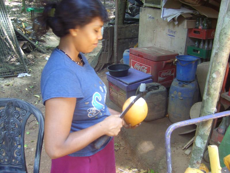 Šri Lanka, maj 2008 055