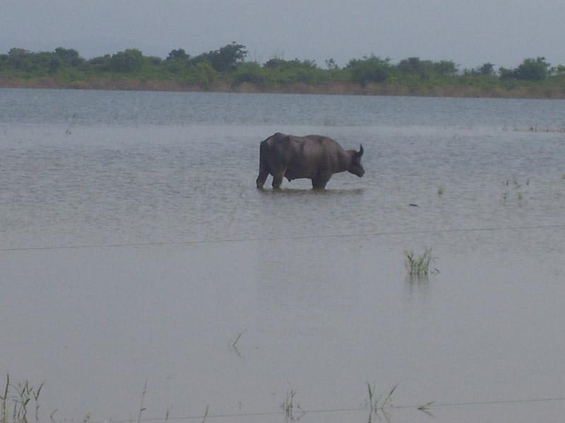 Šri Lanka, maj 2008 221