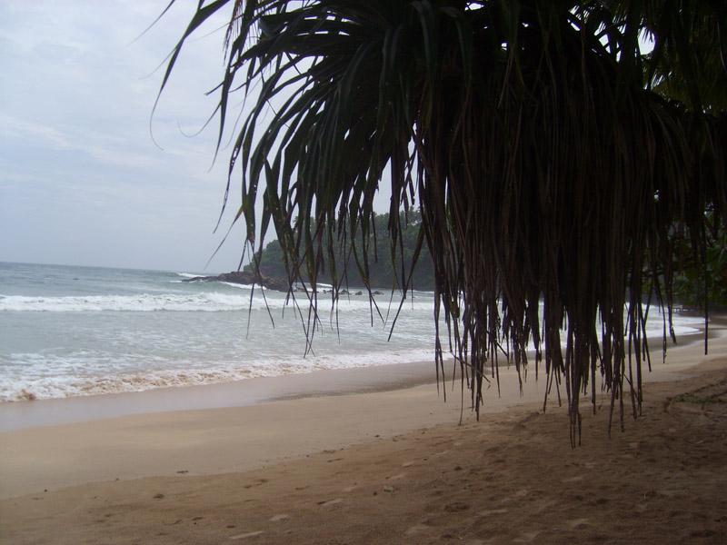 Šri Lanka, maj 2008 282