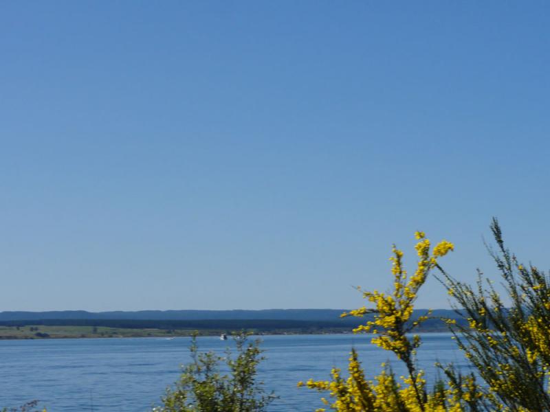 Nova Zelandija Sever (115)