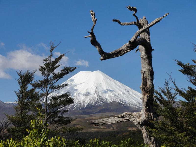 Nova Zelandija Sever (172)