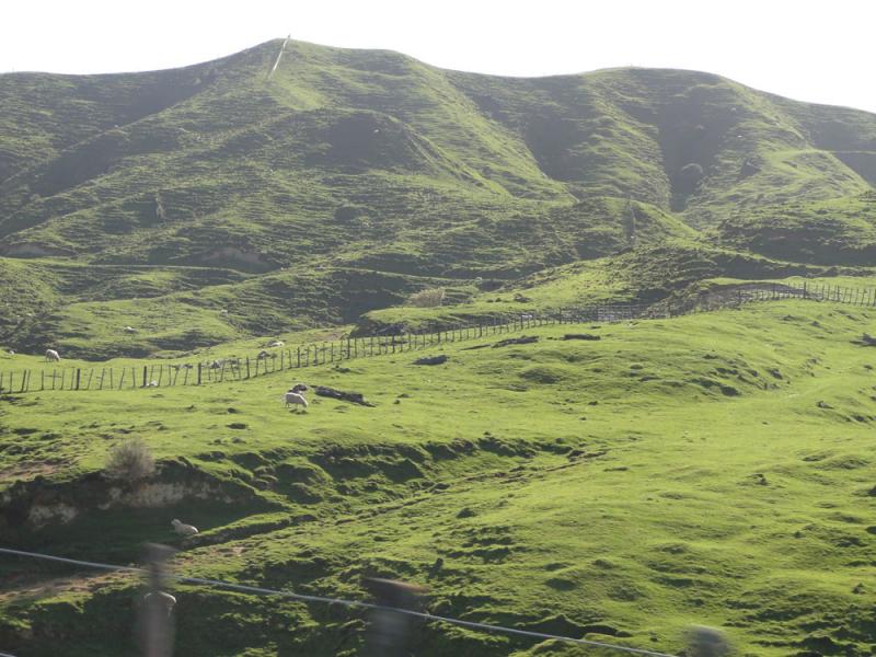 Nova Zelandija Sever (182)