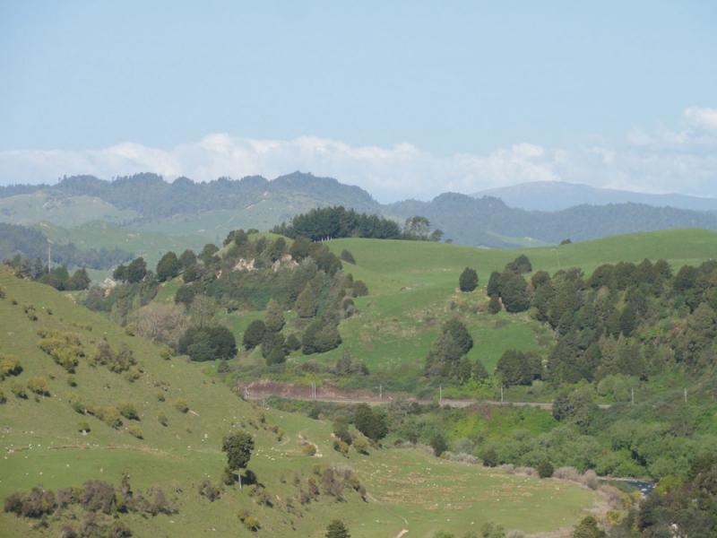 Nova Zelandija Sever (191)