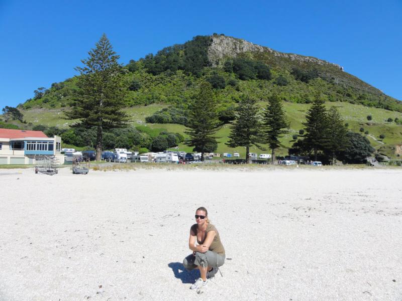 Nova Zelandija Sever (36)