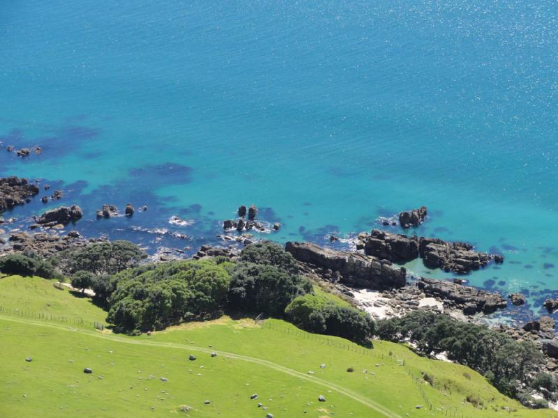 Nova Zelandija Sever (49)