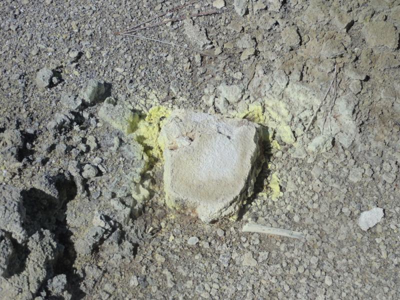 Nova Zelandija Sever (87)