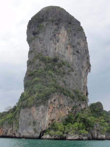 7 (11)