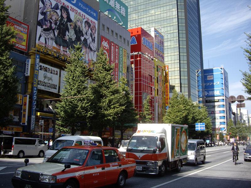 IMGP3091