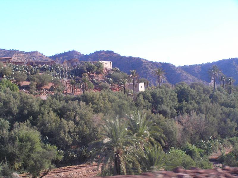 Maroko, maj 2007 005