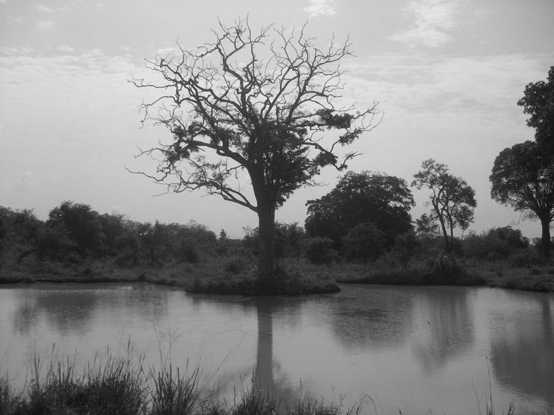 Šri Lanka, maj 2008 236