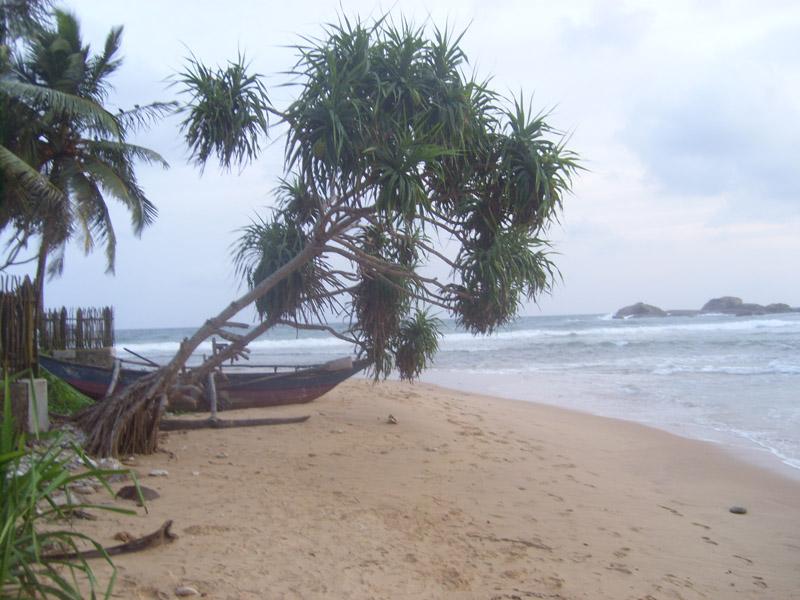 Šri Lanka, maj 2008 333