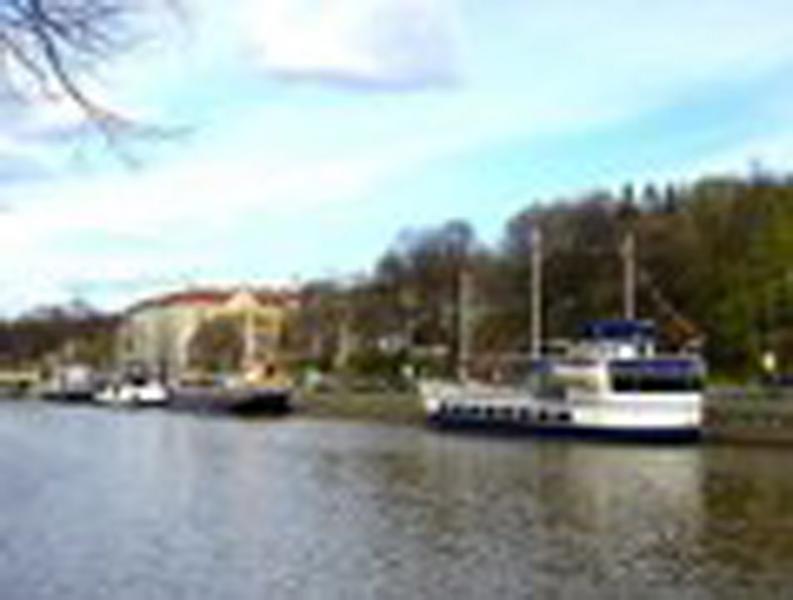 Aurajoki-in-turku samuli-lintula