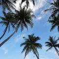 Maldivi 2012
