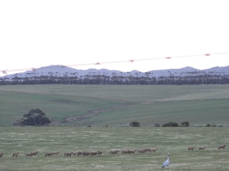 DSC03000