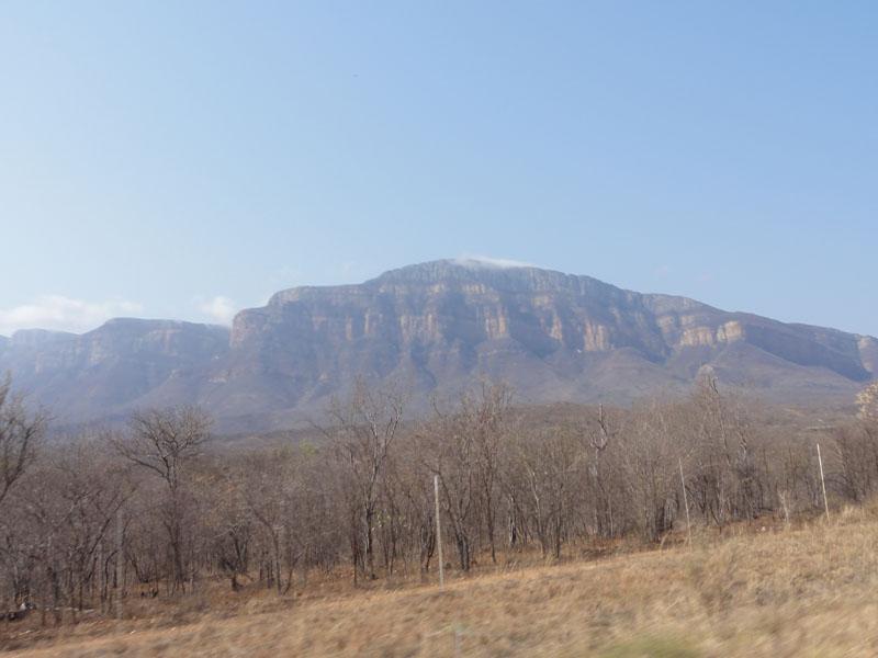 DSC00951
