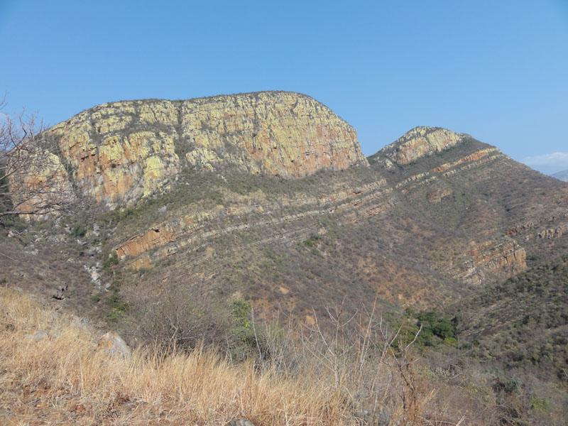 DSC00958