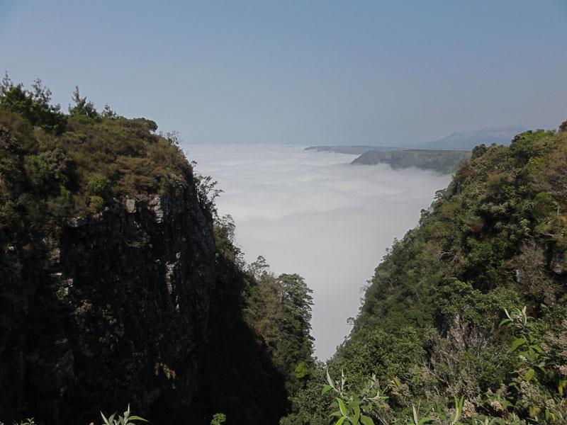 DSC01021