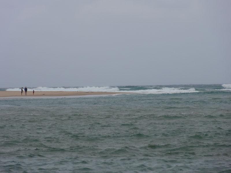 DSC01133