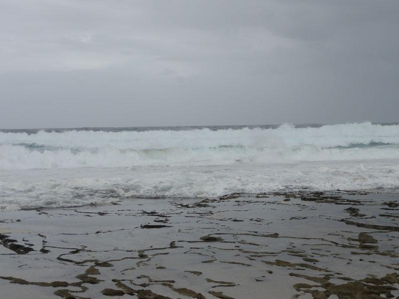 DSC01173