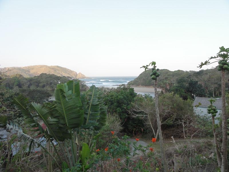 DSC01561