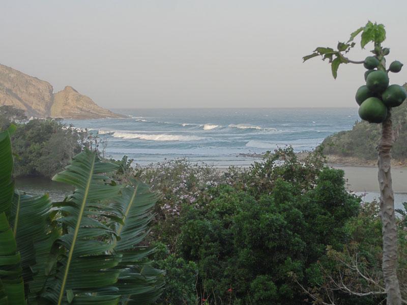 DSC01562