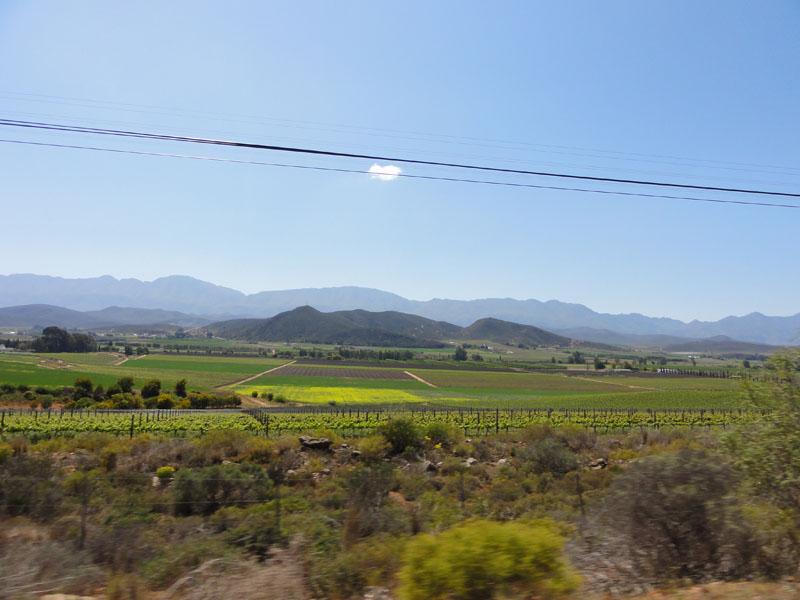 DSC02731