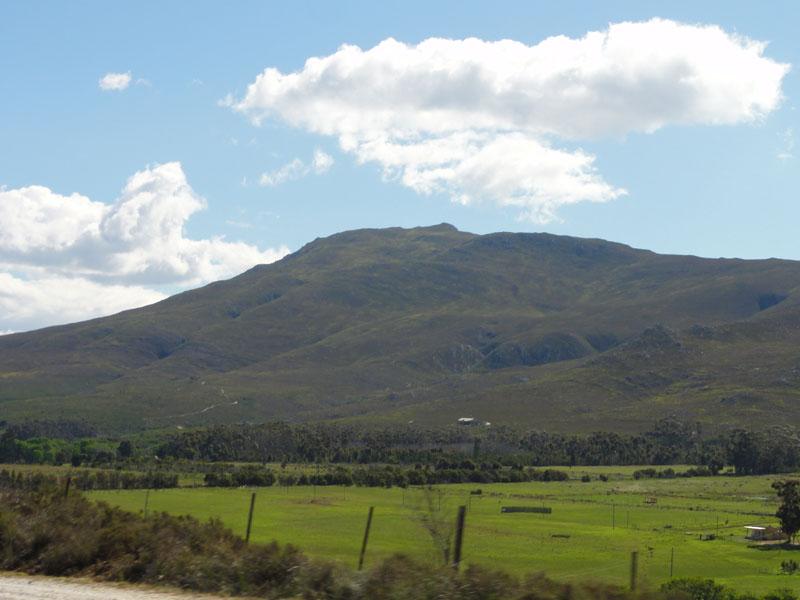DSC02801