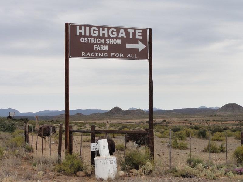 DSC02461