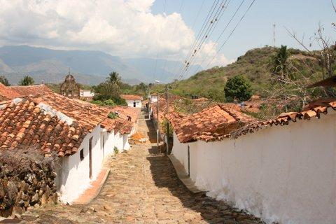 7 Guane  (36)