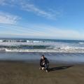 Pot od SF to LA 2014