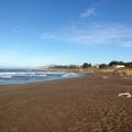 Pot od SF to LA 2014